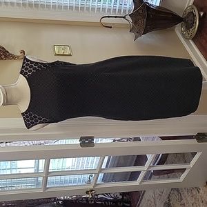 Ann Taylor black white dots sleeveless dress lace trim Lined Fitted style 4 EUC…